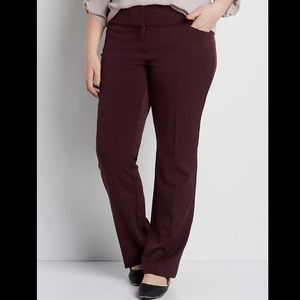 Maurices Bootcut Pant - Maroon / Wine